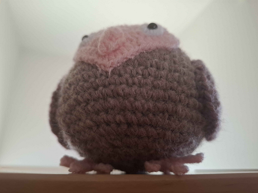 宇宙フクロウ